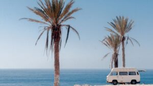 Travel to Morocco and Surf Taghazout
