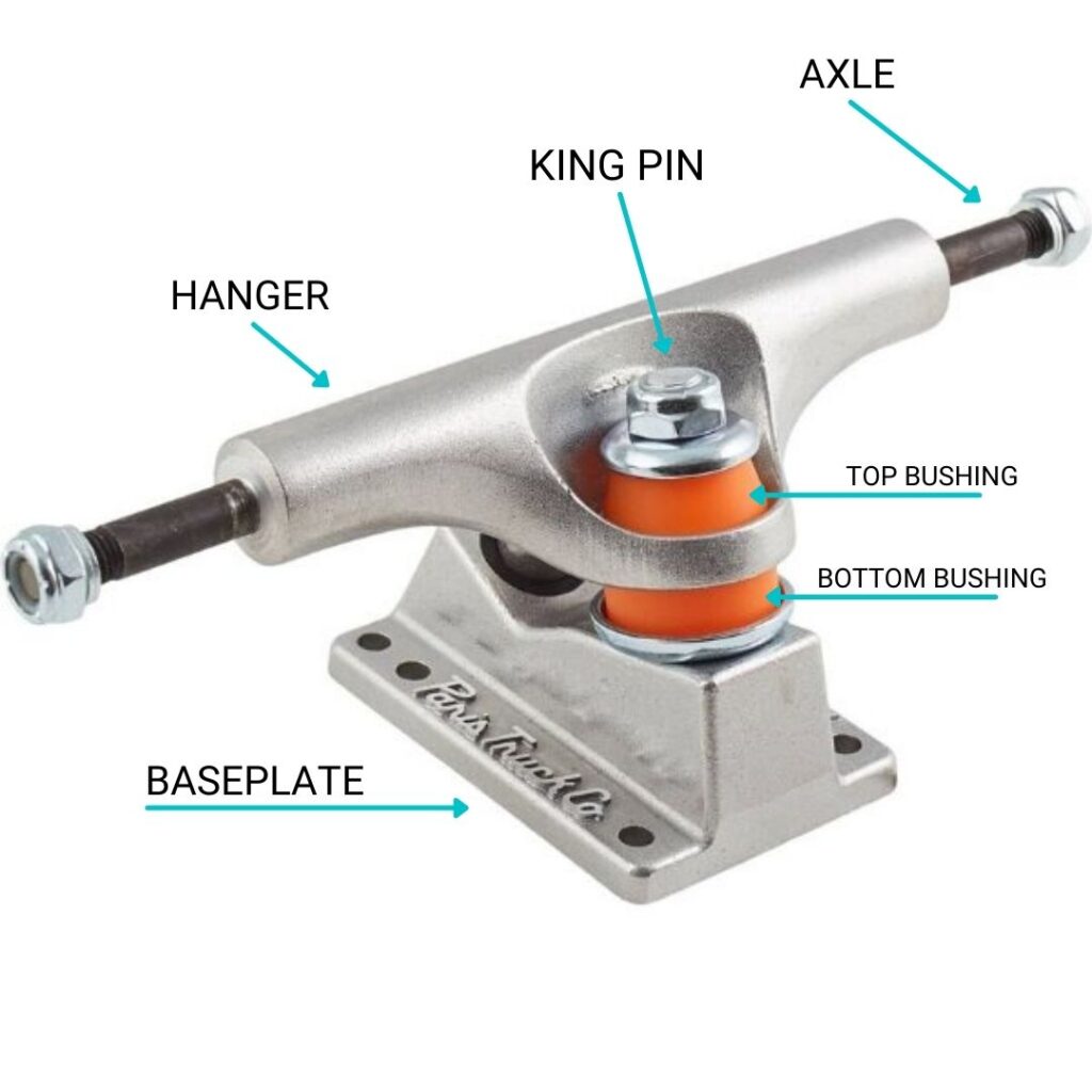 Skateboard truck guide – choosing the right shape and size - HVS BOARDBLOG